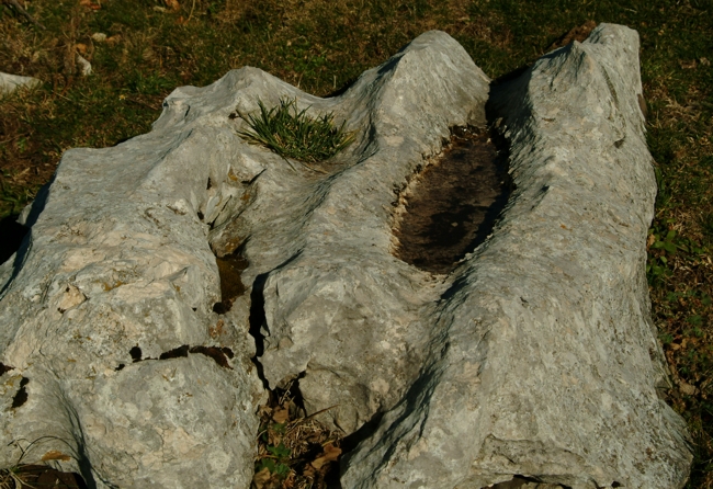 Sculture naturali